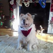 Sheila White's photo