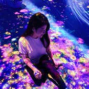 Foto von Ting Chang