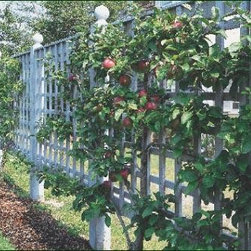 Lattice Espalier - Outdoor Products