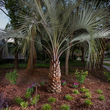 Fishhawk Trails - Vines Project (Campus Signature Package)