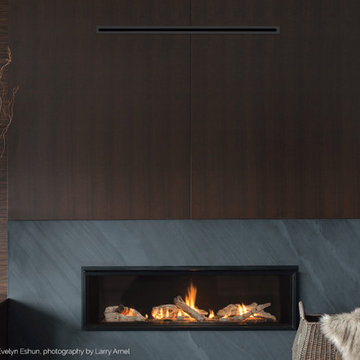 Valor Fireplaces