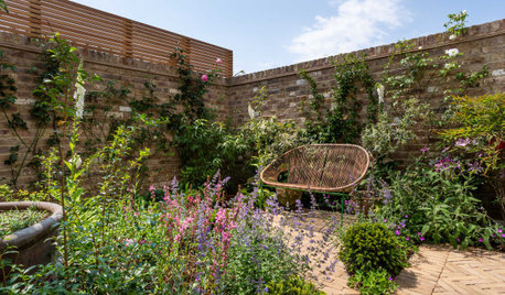 Calming English Garden Grows in a 215-Square-Foot Courtyard