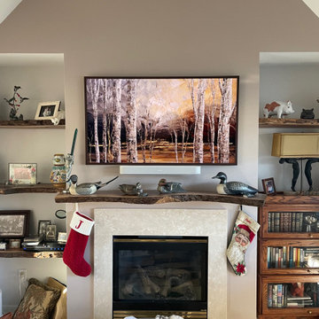 Custom TV Install