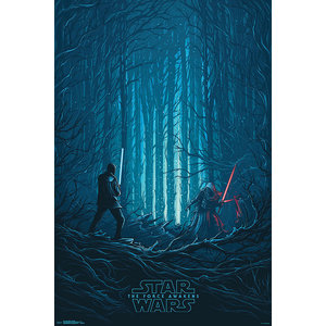 New Hot Star Wars The Force Awakens Rey Movie Silk Poster 24"x36" Free Shipping 