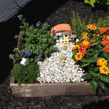 Fairy Gardens, Terrariums & Succulents