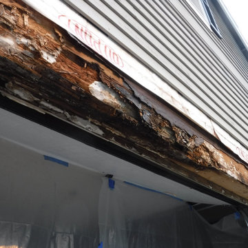 Dry Rot Repair