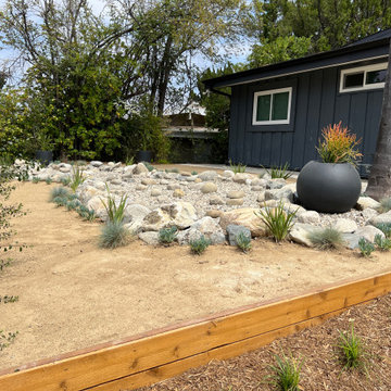 Mid Century Modern drought tolerant