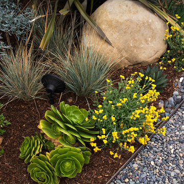 San Roque Contemporary Landscape Renovation