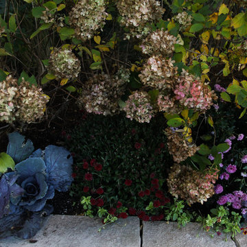 Photo Tour: Chicago Neighborhoods Dress Up for Fall