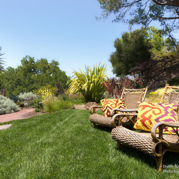 Los Altos, Ca | Divine Nature Landscape Design | Slice of Heaven