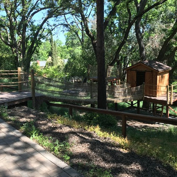Alamo Treehouse #2