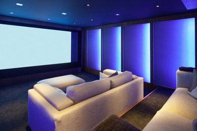 Contemporary home cinema in Other.