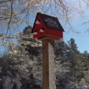 Morgan Bentley's photo