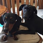Lisa Miller's photo