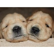 Lynelle Kukowski's photo
