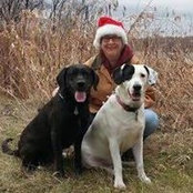 Wendy Seifert's photo