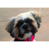 Lisa Powers's photo