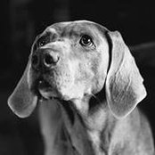 Lynn Dell's photo