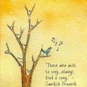 Brandee Ball's photo