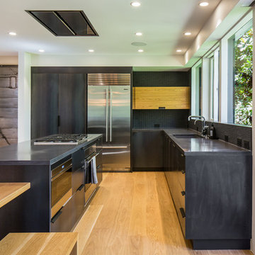 Wallace Park Modern Whole House Remodel