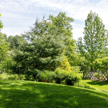 Mature Garden
