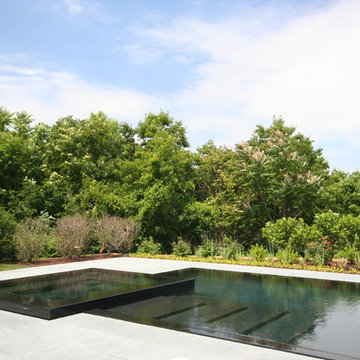 Transitional Pool