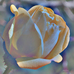GRANDPA'S ROSE - Artwork