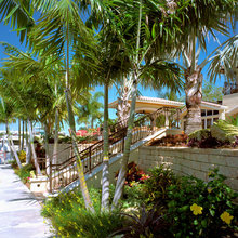 tropical