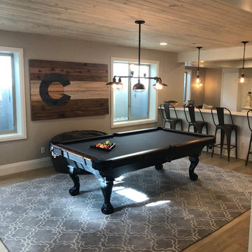 Back Country Basement