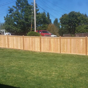 fence