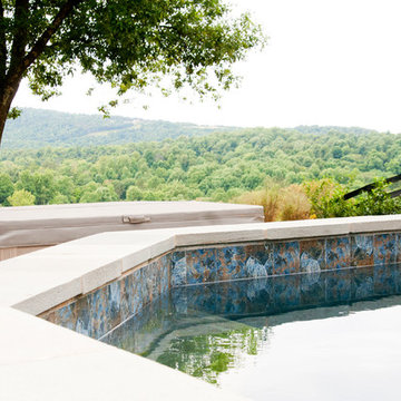 Pool with a view