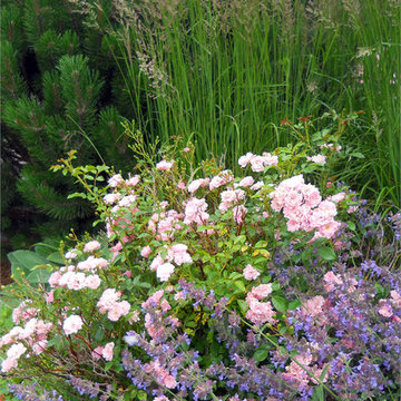 Herb Garden Vignette