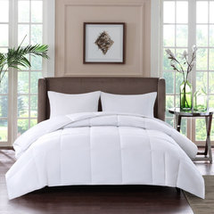 Sleep Philosophy True North Level 3 Down Comforter, King