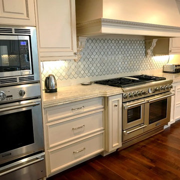 Kitchen Remodel/Renovation