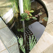 Koi pond