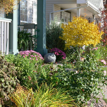 Cottage Garden - Small yard