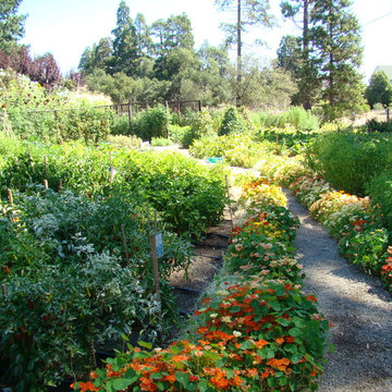 Vegetable gardens