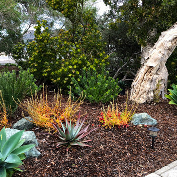 Barrager Front Yard