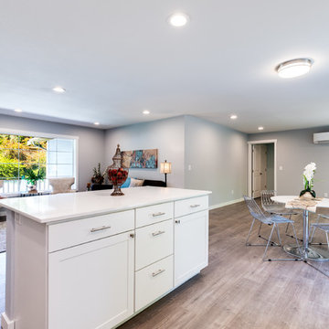 Full Home Renovation