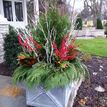 Winter Container Gardens