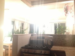 Image Result For Are Dark Kitchen Cabinets Out Everything White Now Houzz Image Result For Are Dark Kitchen Cabinets Out Everything White Now Houzz