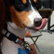 Bruno Mondello's photo