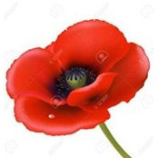 Tracy White's photo