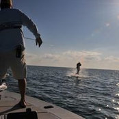 Josh Fields's photo