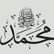 Tamer Farghaly's photo
