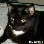 Lupe Pilar's photo