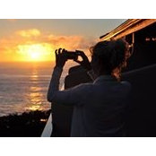 Sarah Ledger's photo