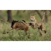 Mike Allen's photo