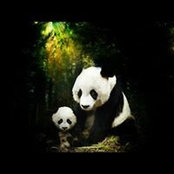 Foto von Terrie McDaniel Stollings