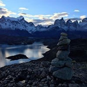 Mauricio Navarrete's photo